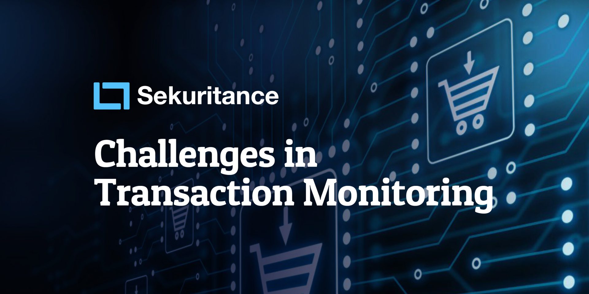 The Challenges of Transaction Monitoring